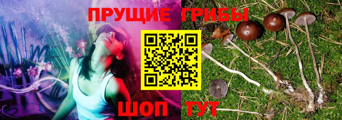 Псилоцибиновые грибы Magic Shrooms  Вход с VPN  Комсомольск-на-Амуре 