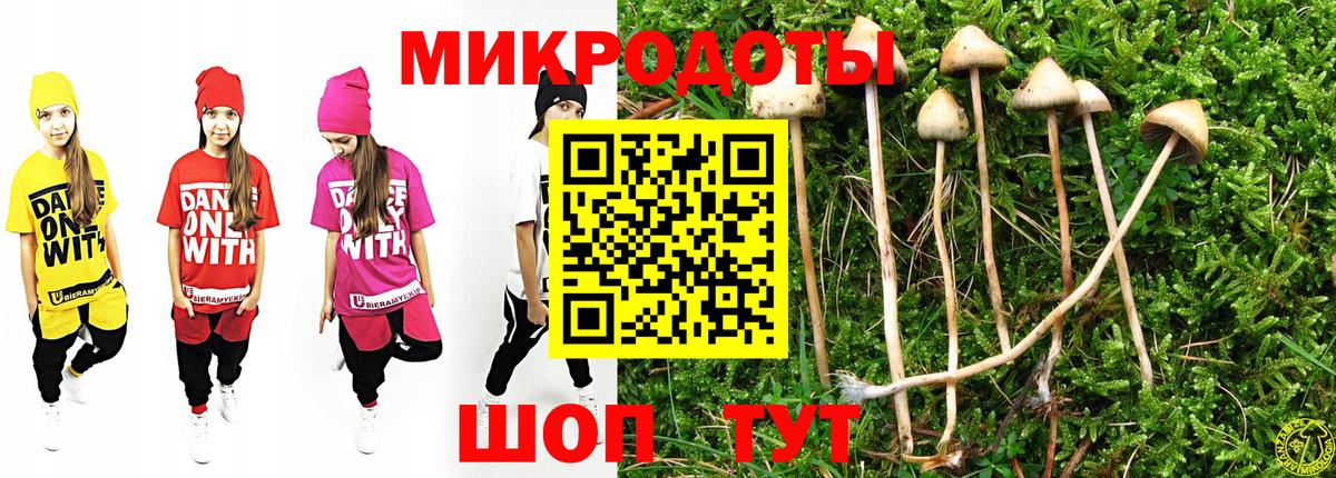 Псилоцибиновые грибы Psilocybine cubensis  Комсомольск-на-Амуре  Псилоцибиновые грибы мицелий 